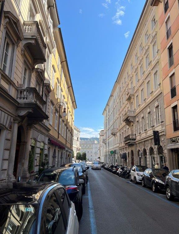 Ampio Locale a due passi da Piazza Unità