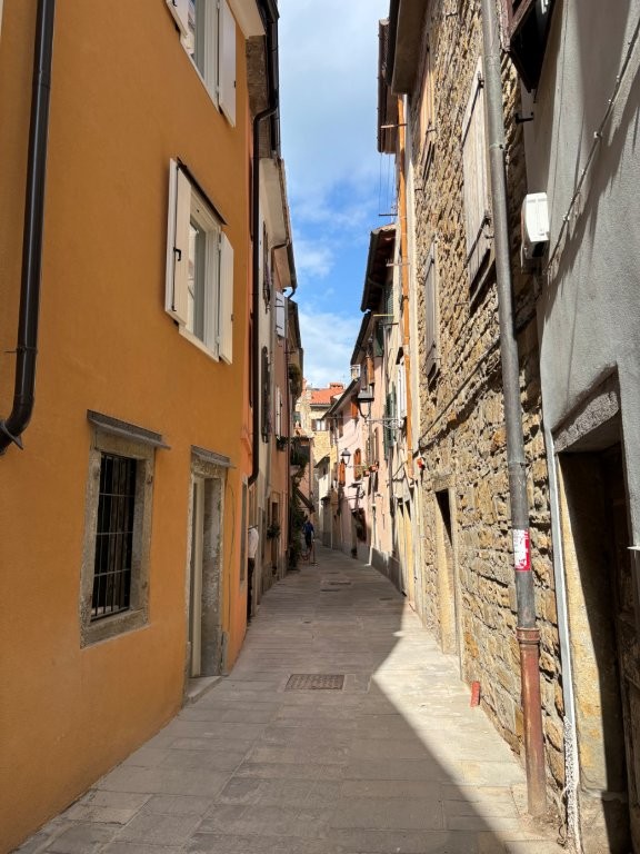 Appartamento primo ingresso a Muggia Appartamento primo ingresso a Muggia